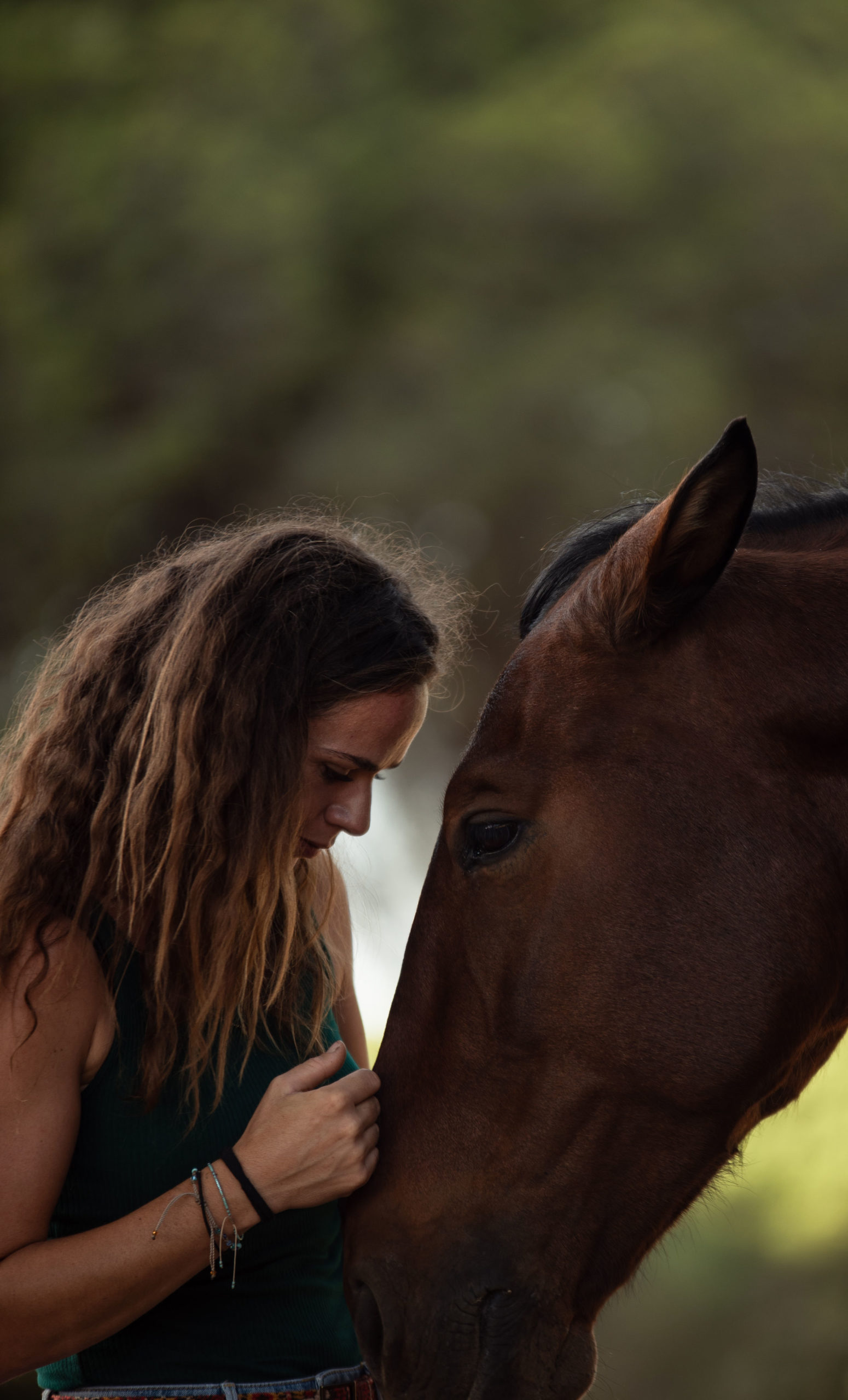 Vertrauen mit Pferden
